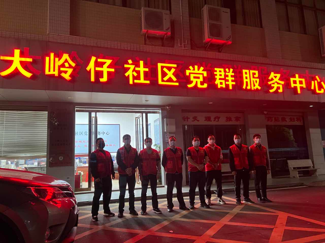 3.党员突击队茂南区城南街道大岭仔社区开展服务.jpg