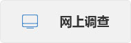 网上调查