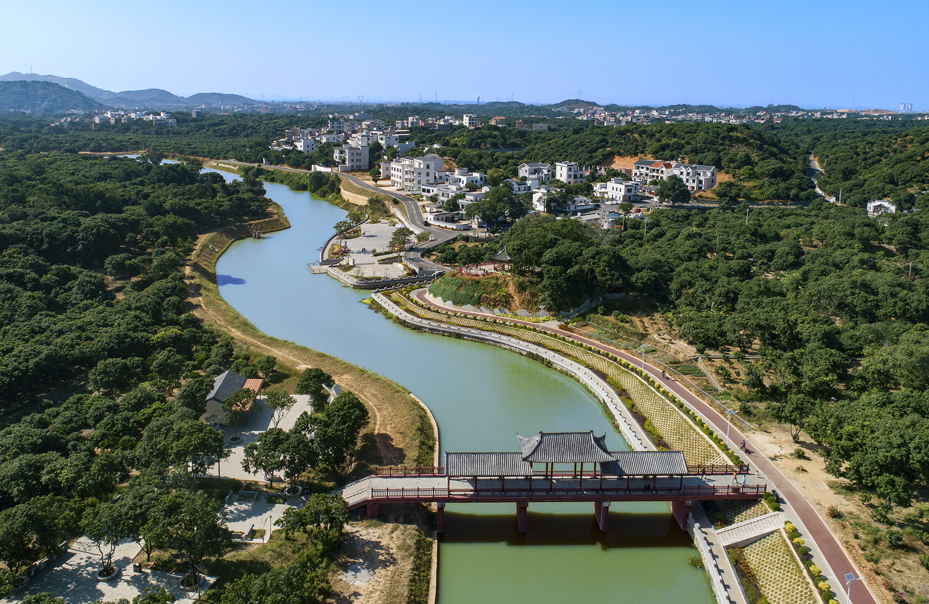 高州根子镇大唐荔乡桥头村。丘立贺摄.jpg